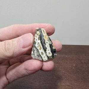 Ocean Jasper Crystal Tumbled Stone